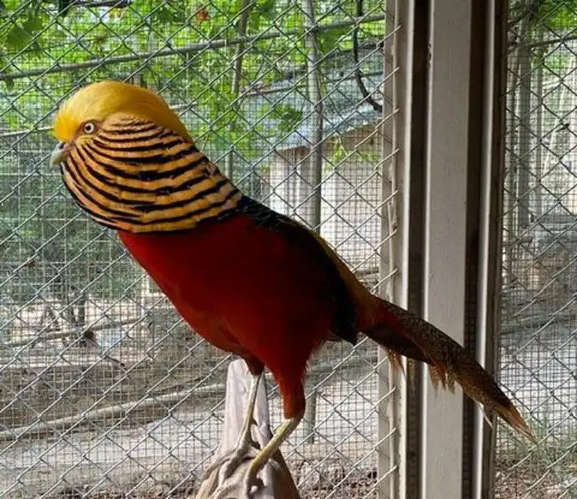 Antalya Büyükşehir Meclisi'nde İlginç Hibe! 4